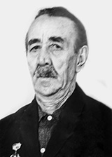 Махнутин Николай Ильич